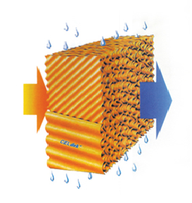 Tấm màng nước Coolingpad - Công Ty TNHH Thương Mại Dịch Vụ Kỹ Thuật Xuất Nhập Khẩu Thiên Phúc